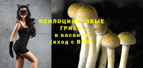 спиды Белокуриха