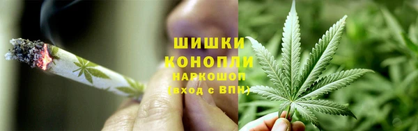 спиды Белокуриха