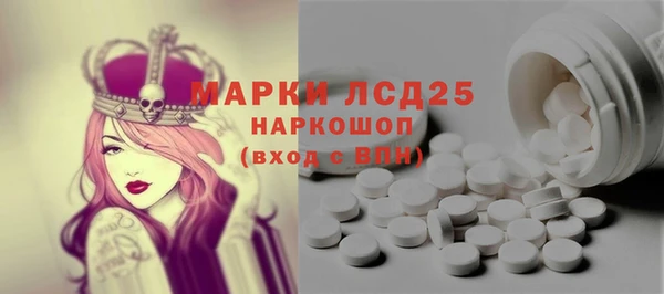 spice Богданович