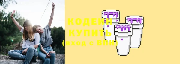 spice Богданович