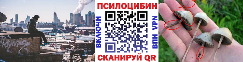 Псилоцибиновые грибы мицелий  Афипский 